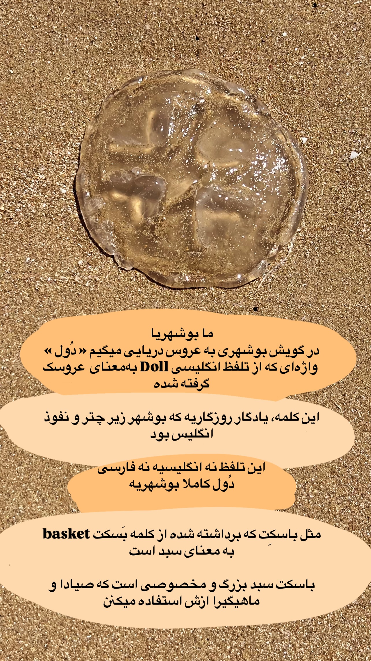  جدید ترین استوری اینستاگرام مرجان ماهینی