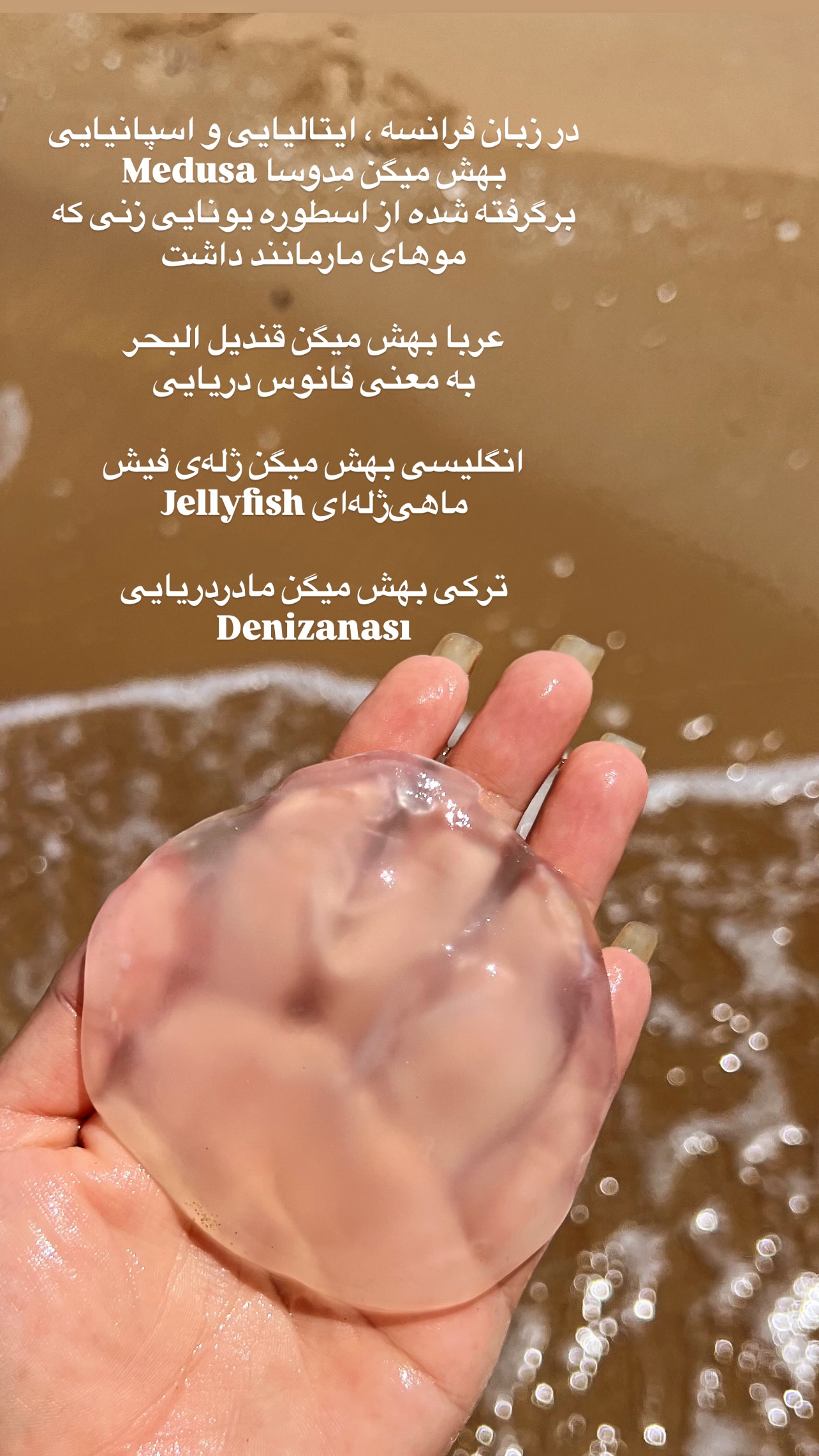  جدید ترین استوری اینستاگرام مرجان ماهینی