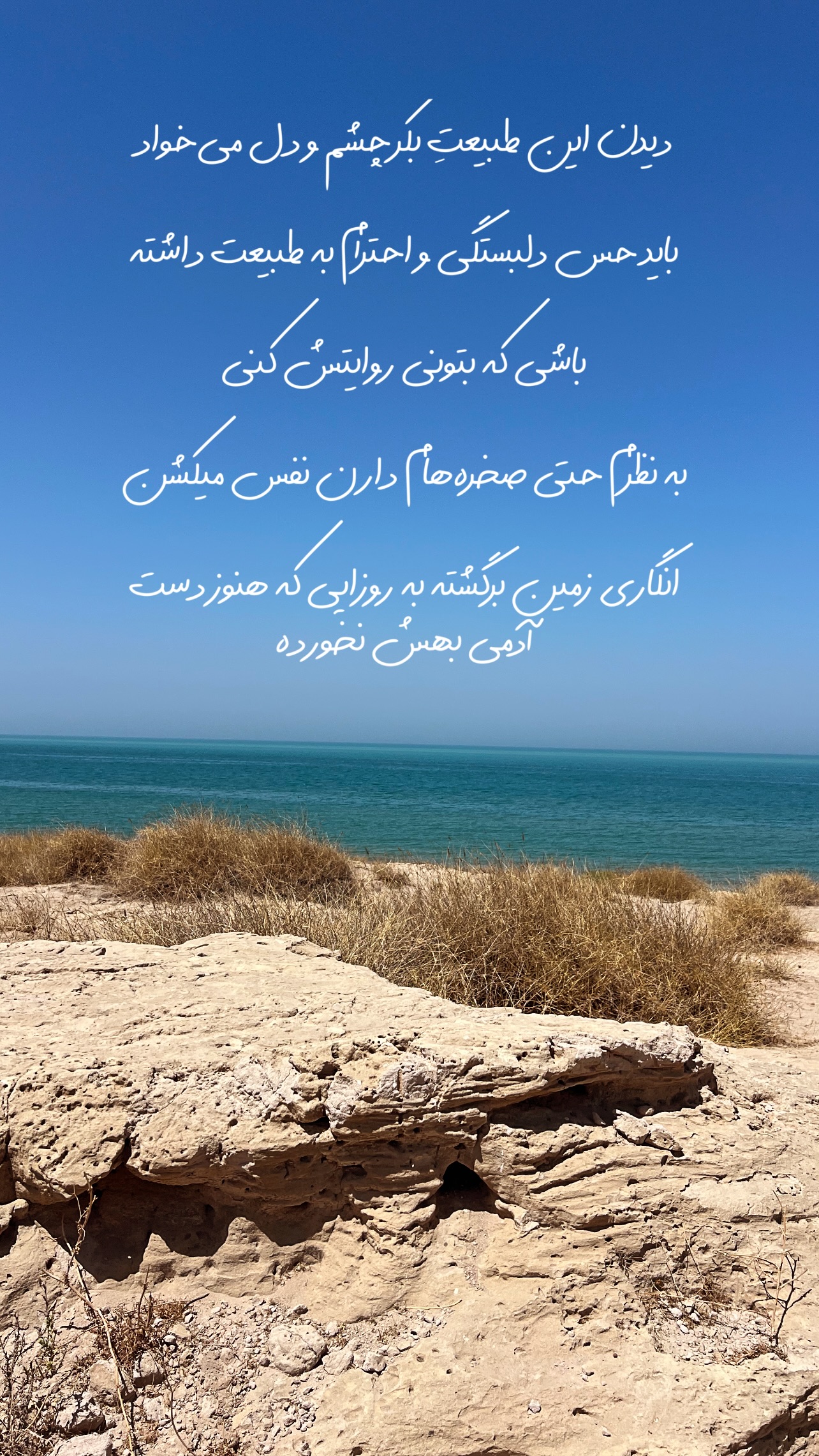 جدید ترین استوری اینستاگرام مرجان ماهینی
