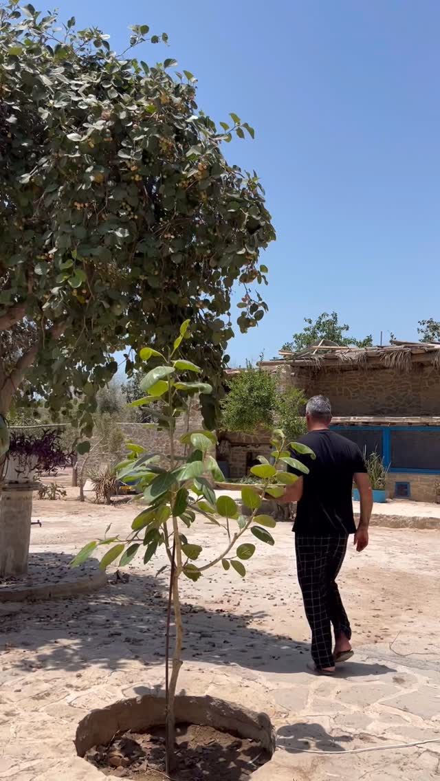  جدید ترین استوری اینستاگرام مرجان ماهینی