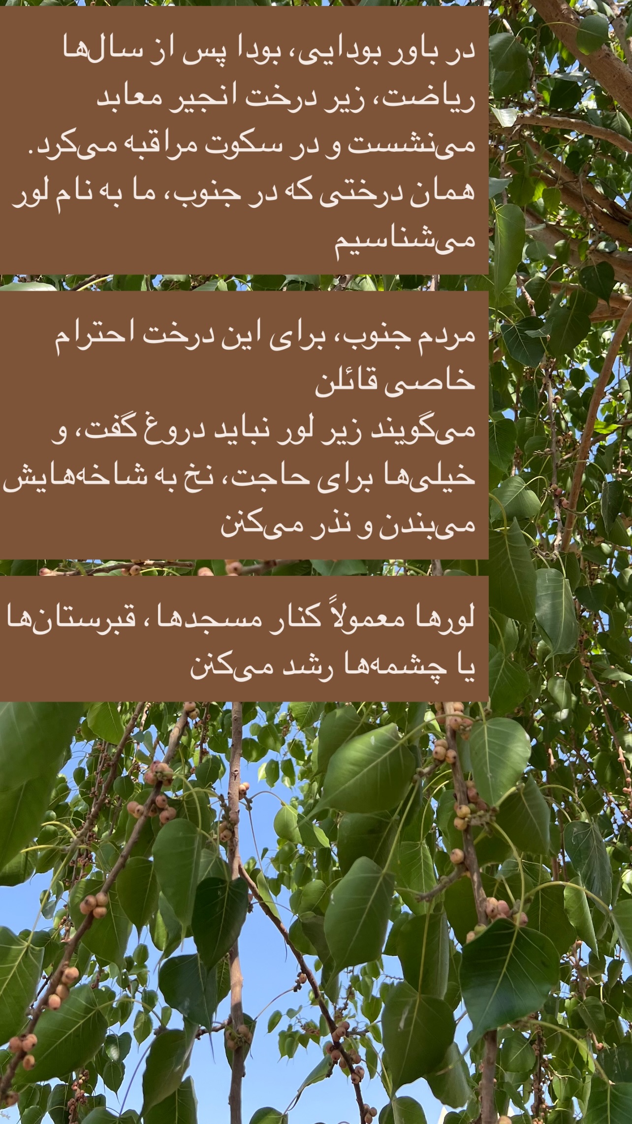  جدید ترین استوری اینستاگرام مرجان ماهینی