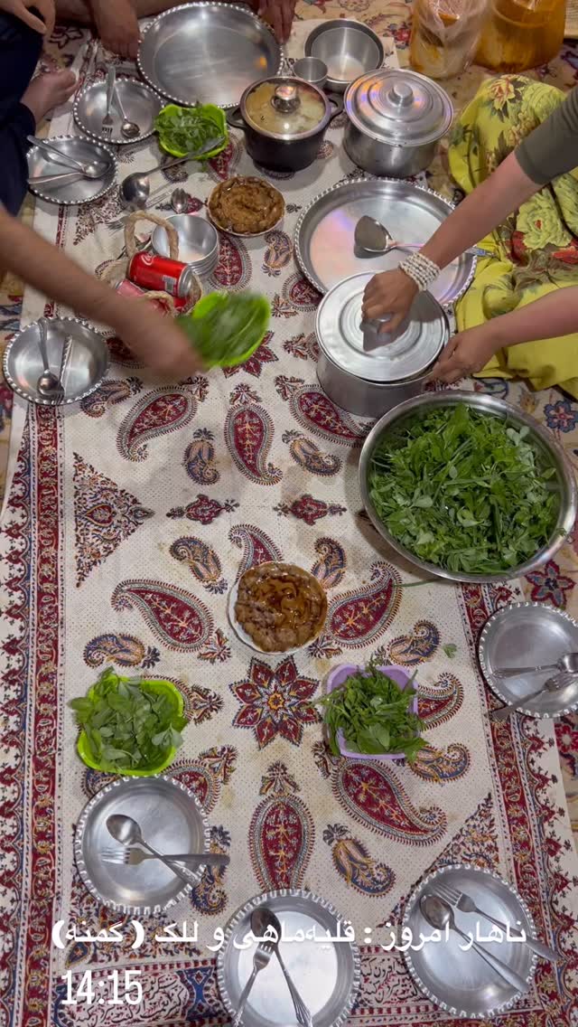  جدید ترین استوری اینستاگرام مرجان ماهینی