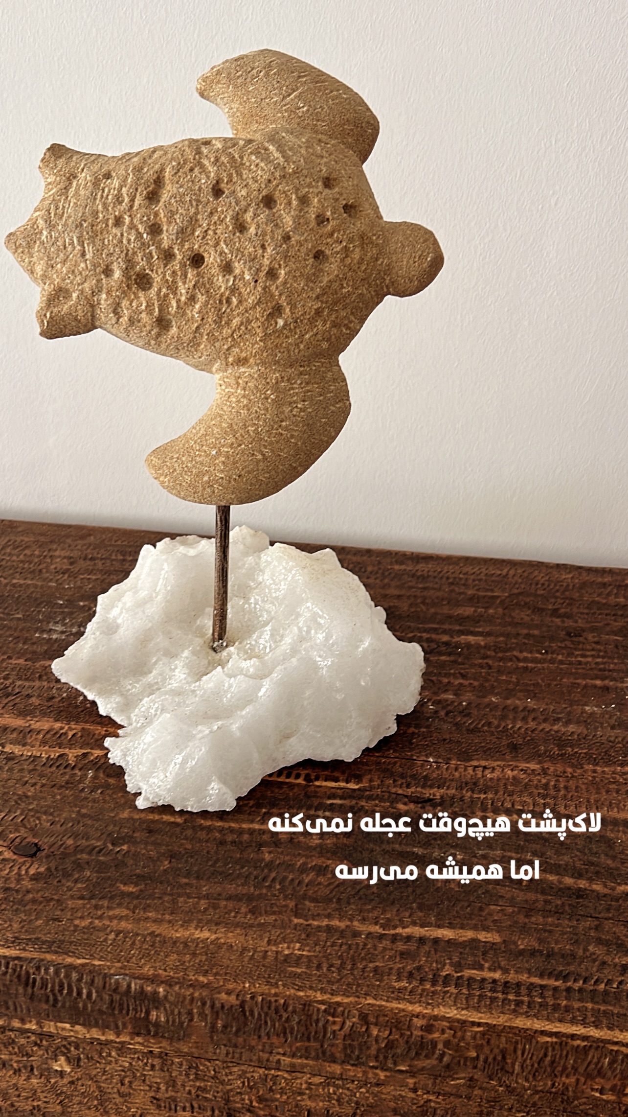  جدید ترین استوری اینستاگرام مرجان ماهینی