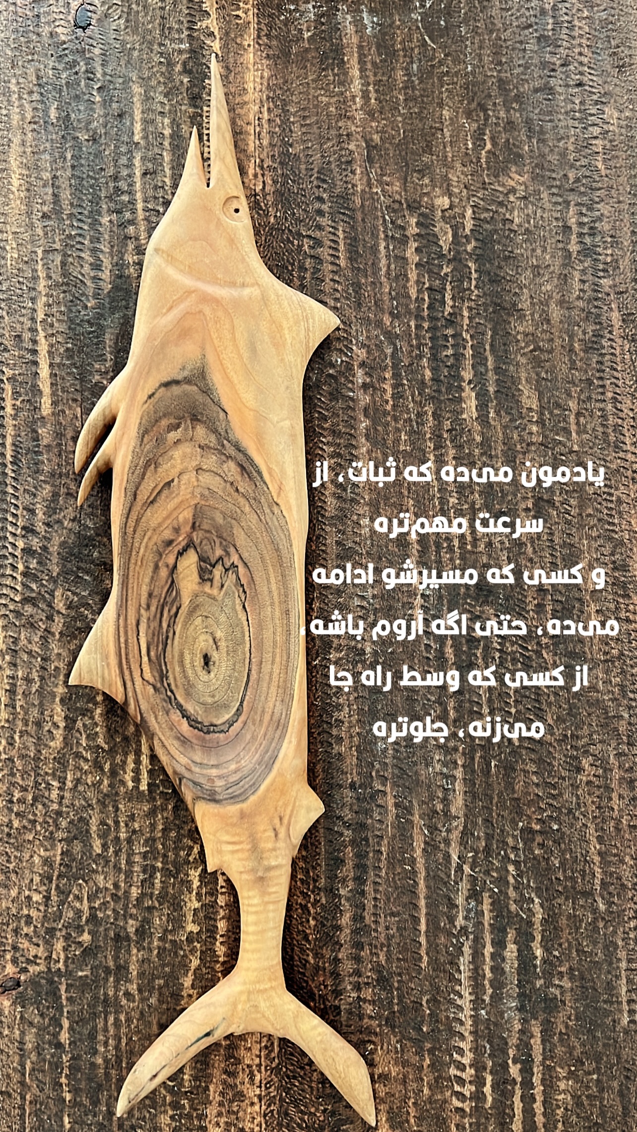  جدید ترین استوری اینستاگرام مرجان ماهینی