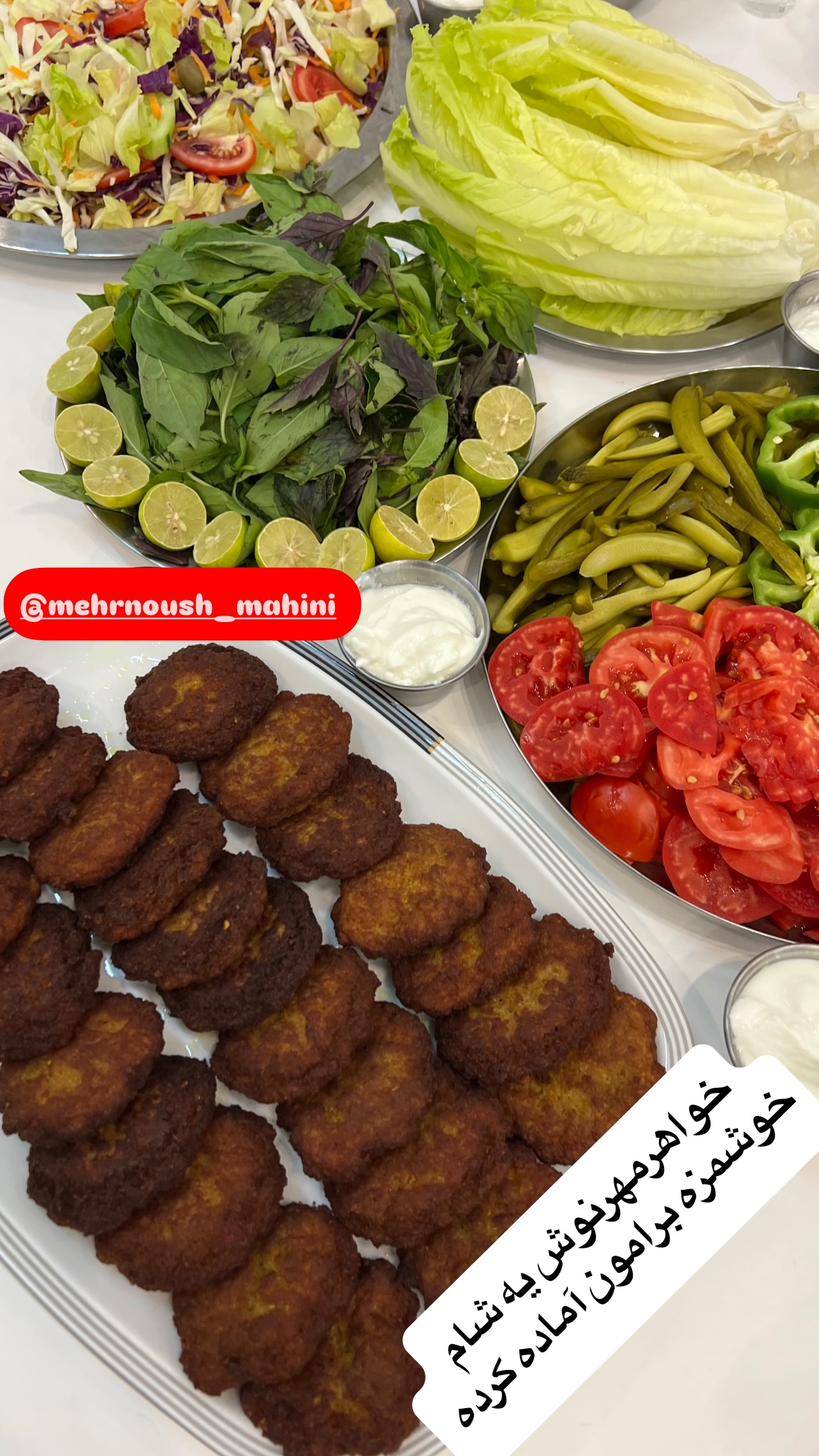  جدید ترین استوری اینستاگرام مرجان ماهینی