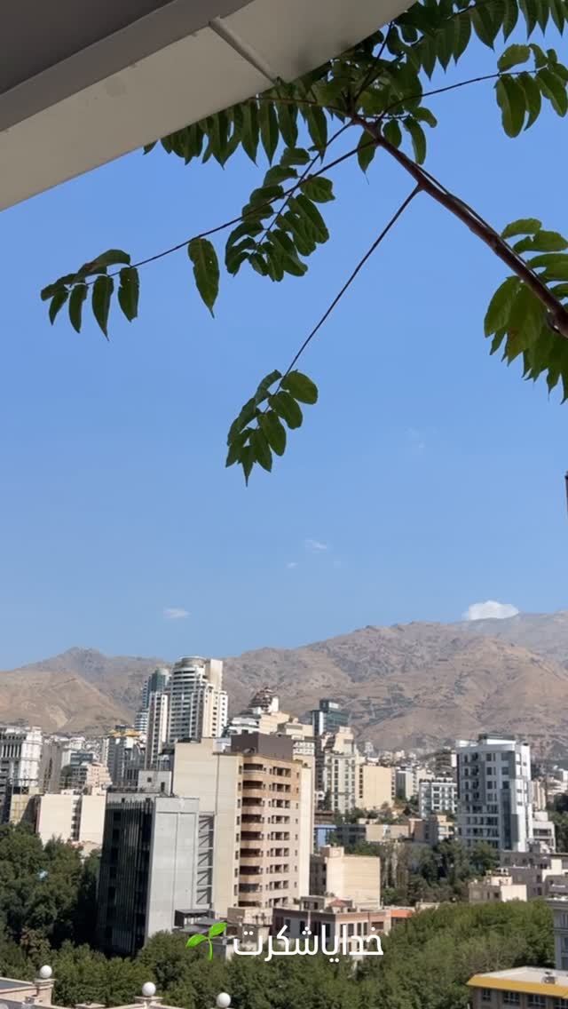  جدید ترین استوری اینستاگرام مرجان ماهینی