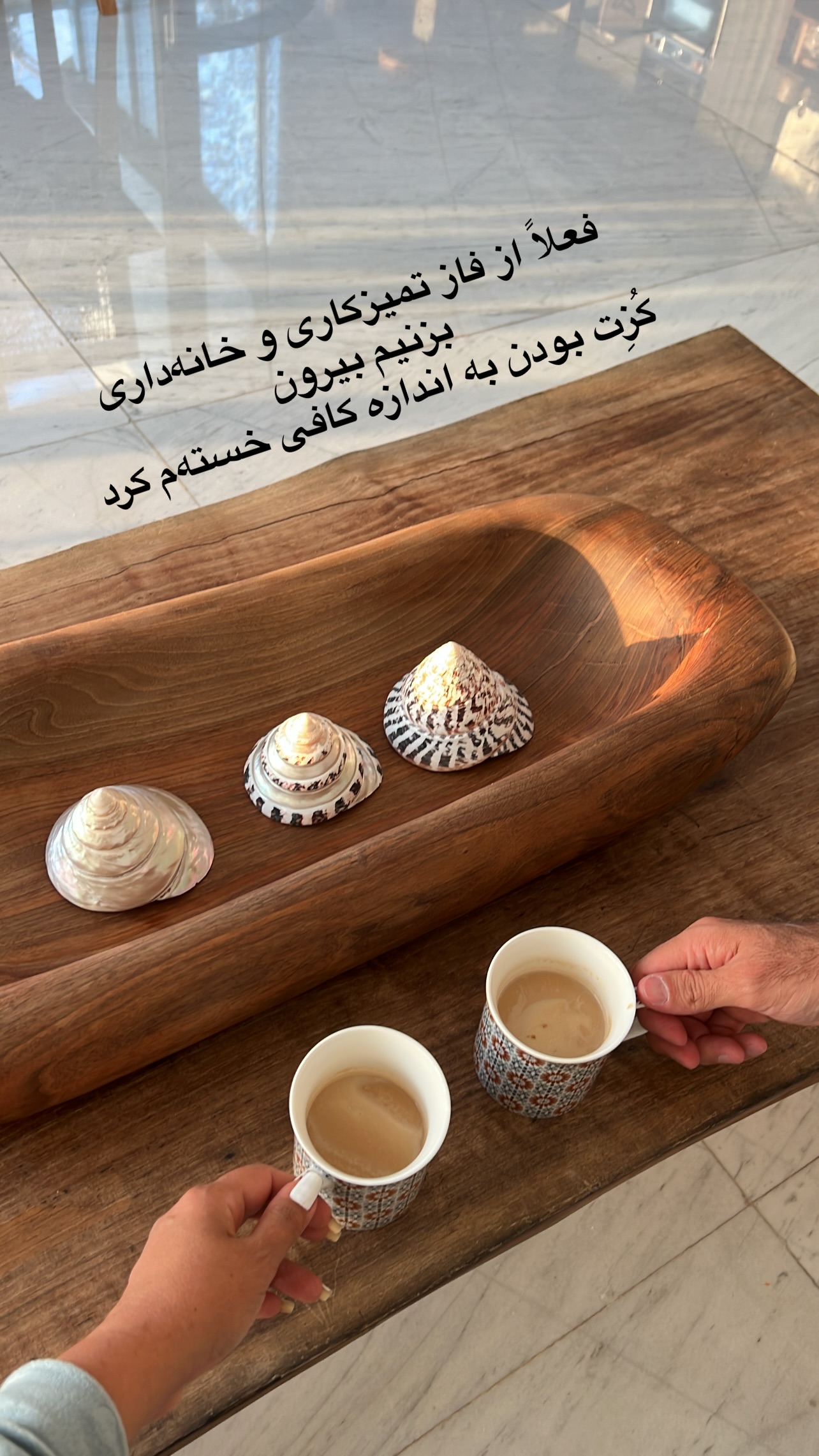  جدید ترین استوری اینستاگرام مرجان ماهینی