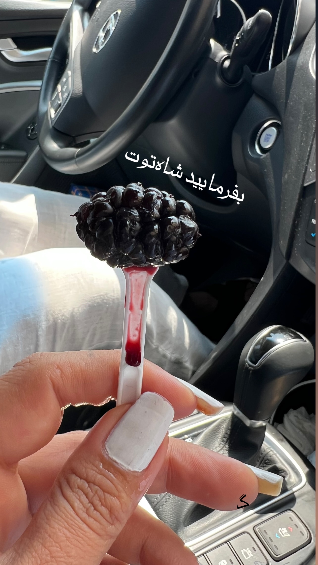  جدید ترین استوری اینستاگرام مرجان ماهینی