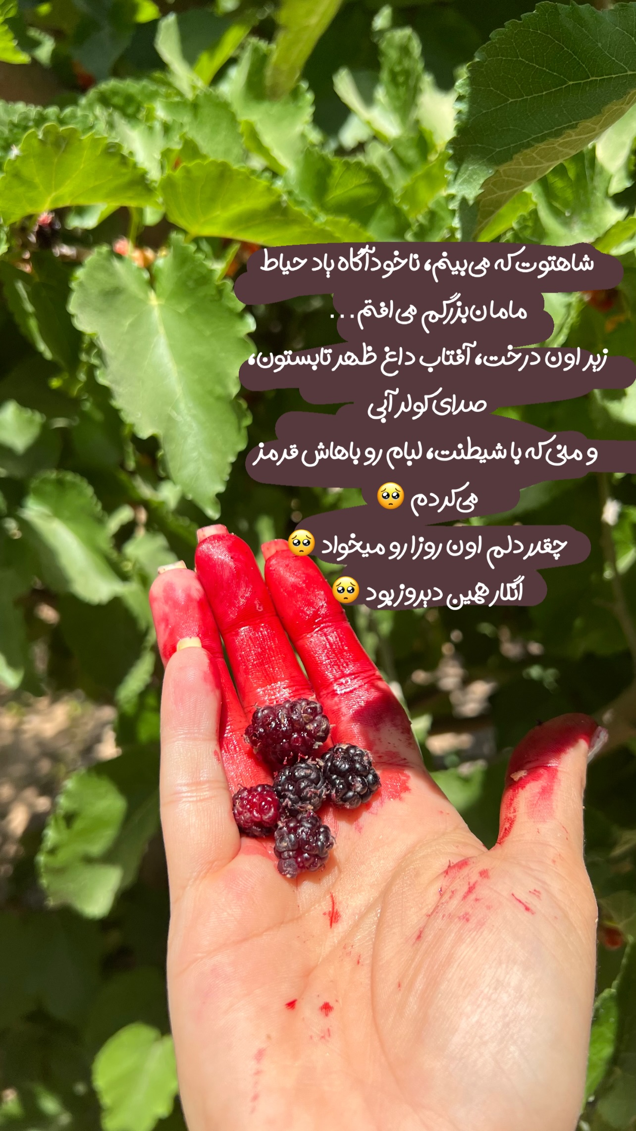  جدید ترین استوری اینستاگرام مرجان ماهینی