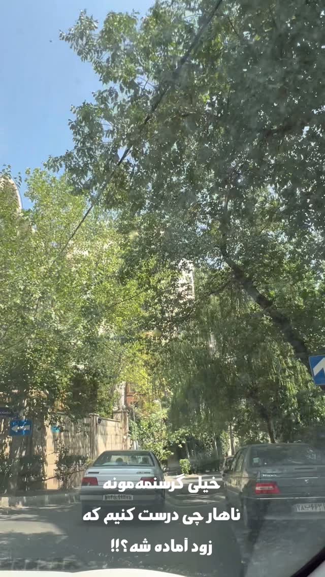 جدید ترین استوری اینستاگرام مرجان ماهینی