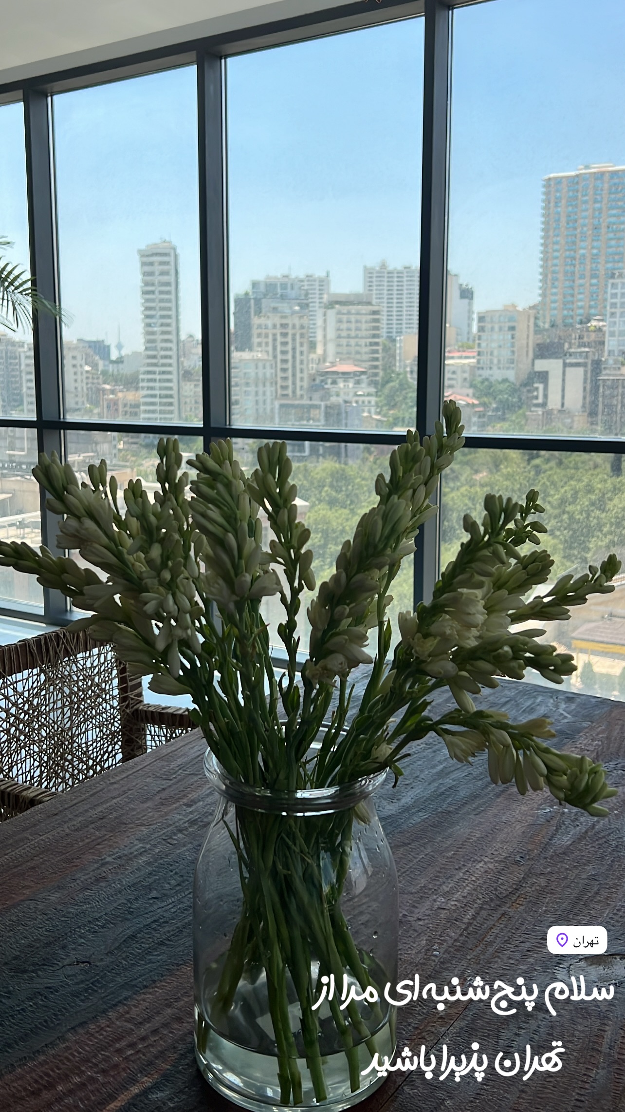  جدید ترین استوری اینستاگرام مرجان ماهینی