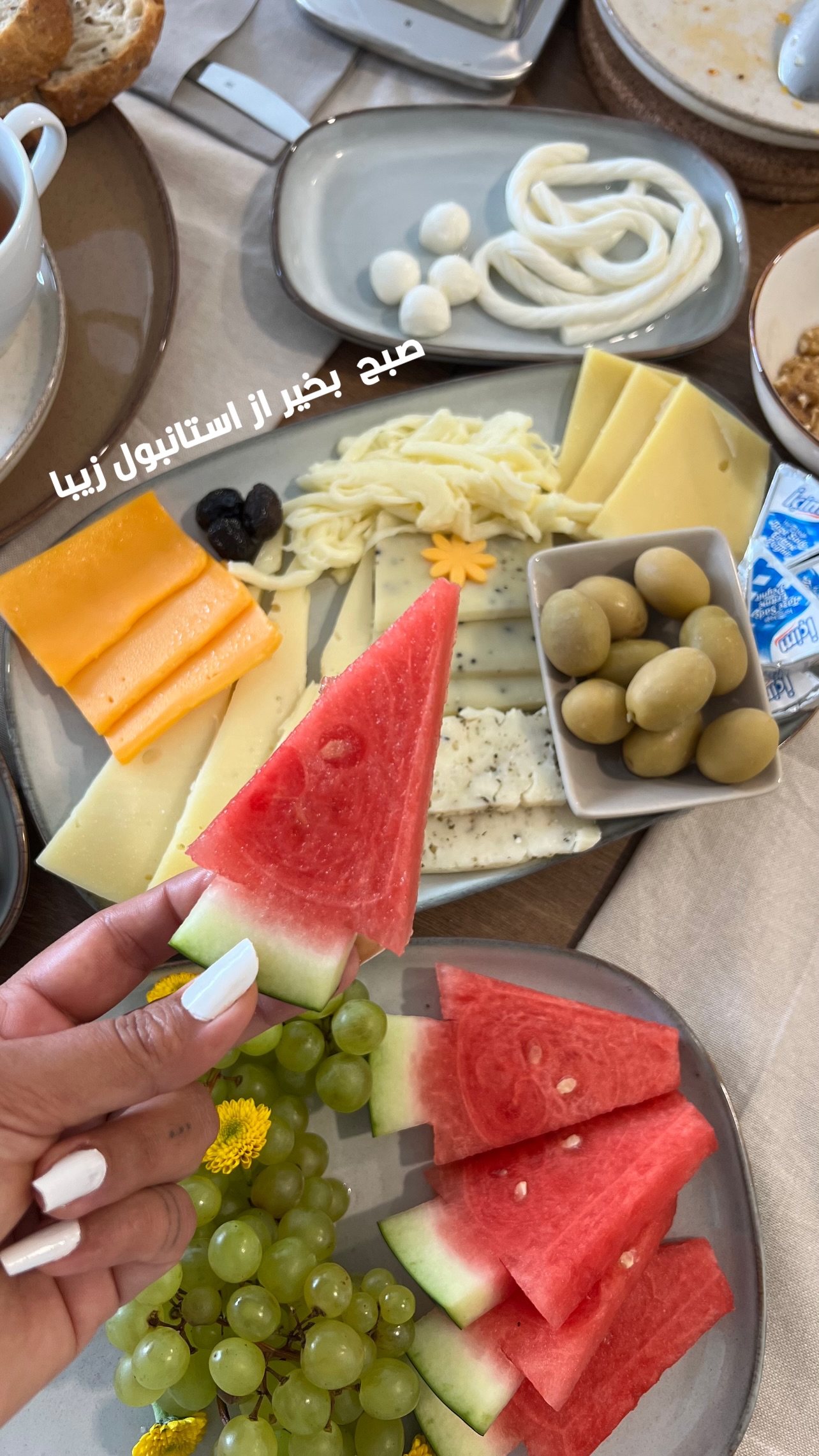  جدید ترین استوری اینستاگرام مرجان ماهینی