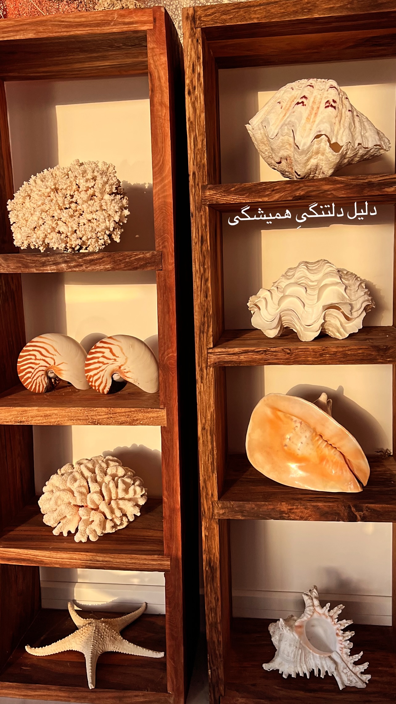  جدید ترین استوری اینستاگرام مرجان ماهینی