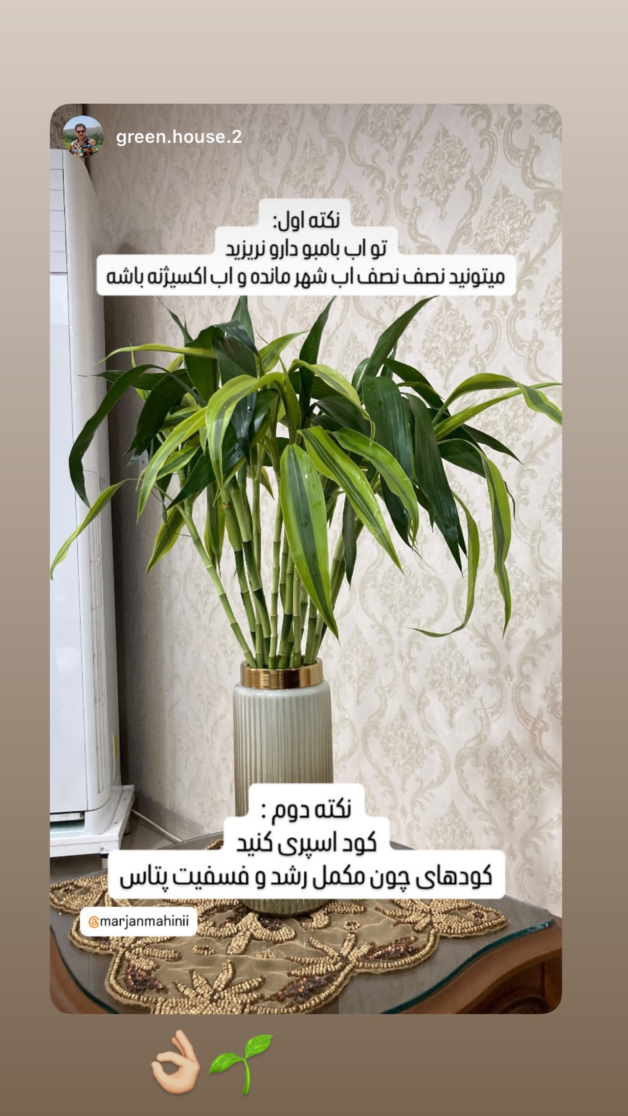  جدید ترین استوری اینستاگرام مرجان ماهینی