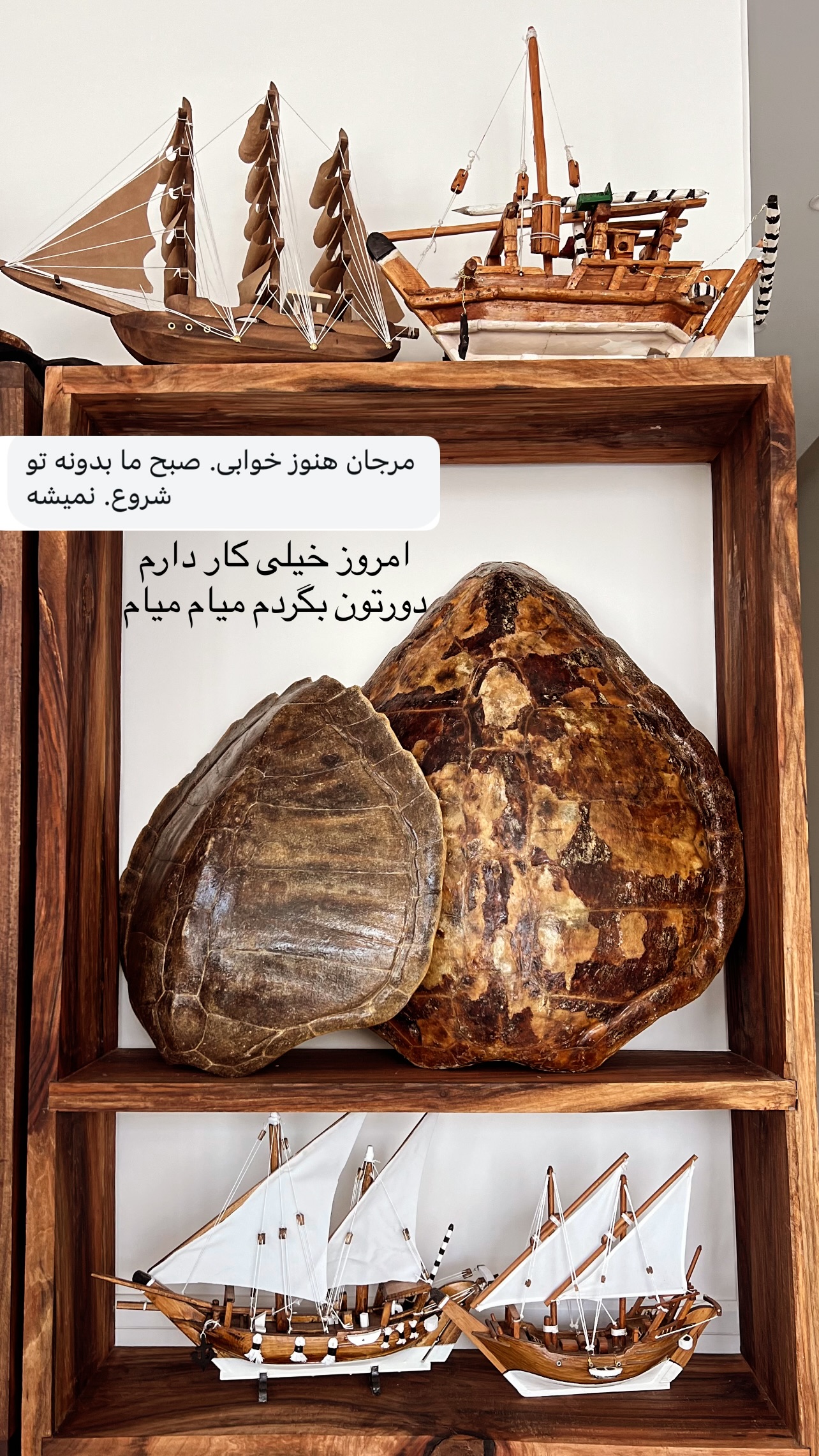  جدید ترین استوری اینستاگرام مرجان ماهینی
