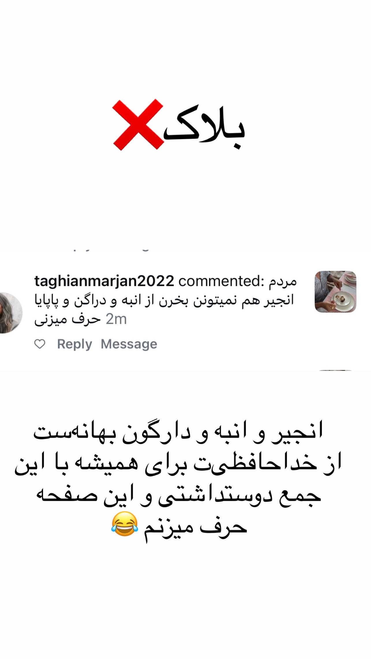  جدید ترین استوری اینستاگرام مرجان ماهینی