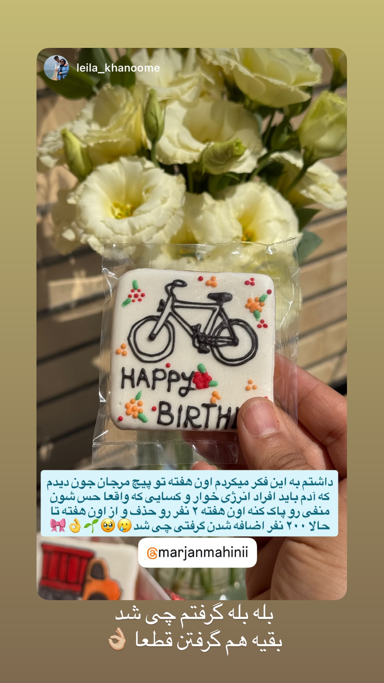  جدید ترین استوری اینستاگرام مرجان ماهینی