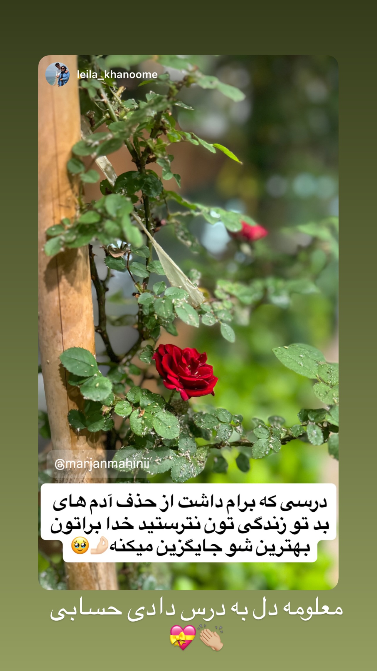  جدید ترین استوری اینستاگرام مرجان ماهینی