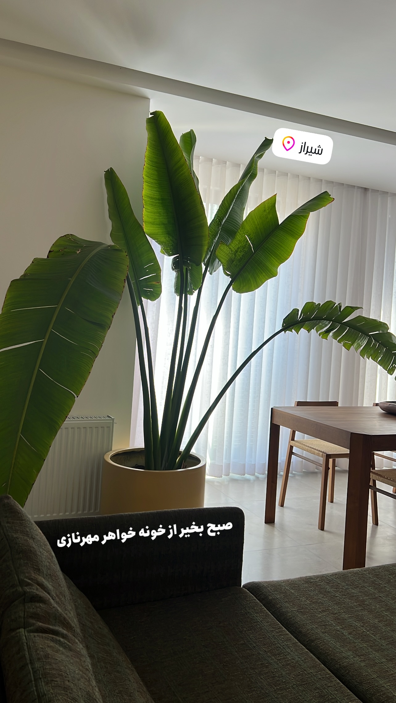  جدید ترین استوری اینستاگرام مرجان ماهینی