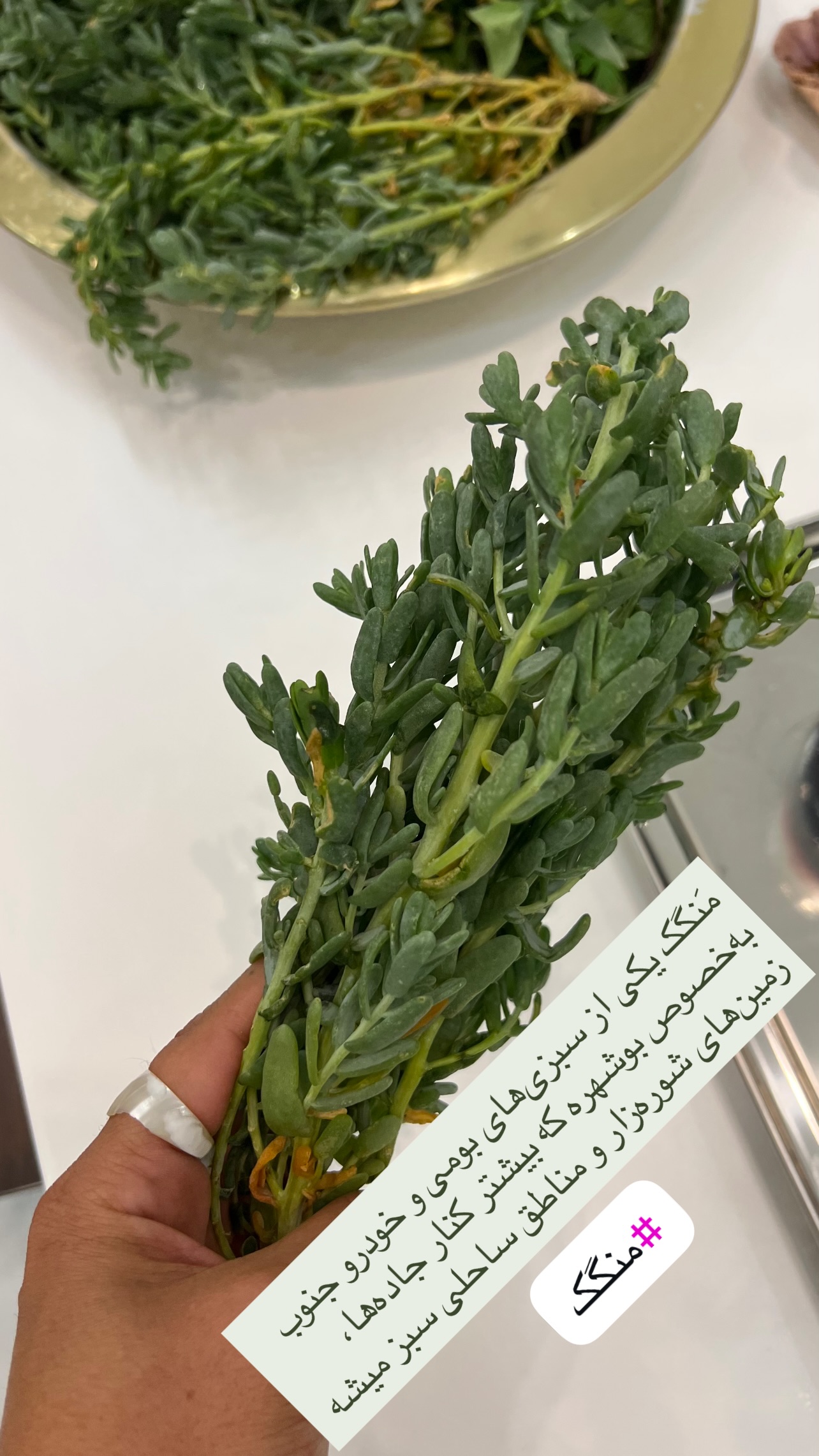  جدید ترین استوری اینستاگرام مرجان ماهینی