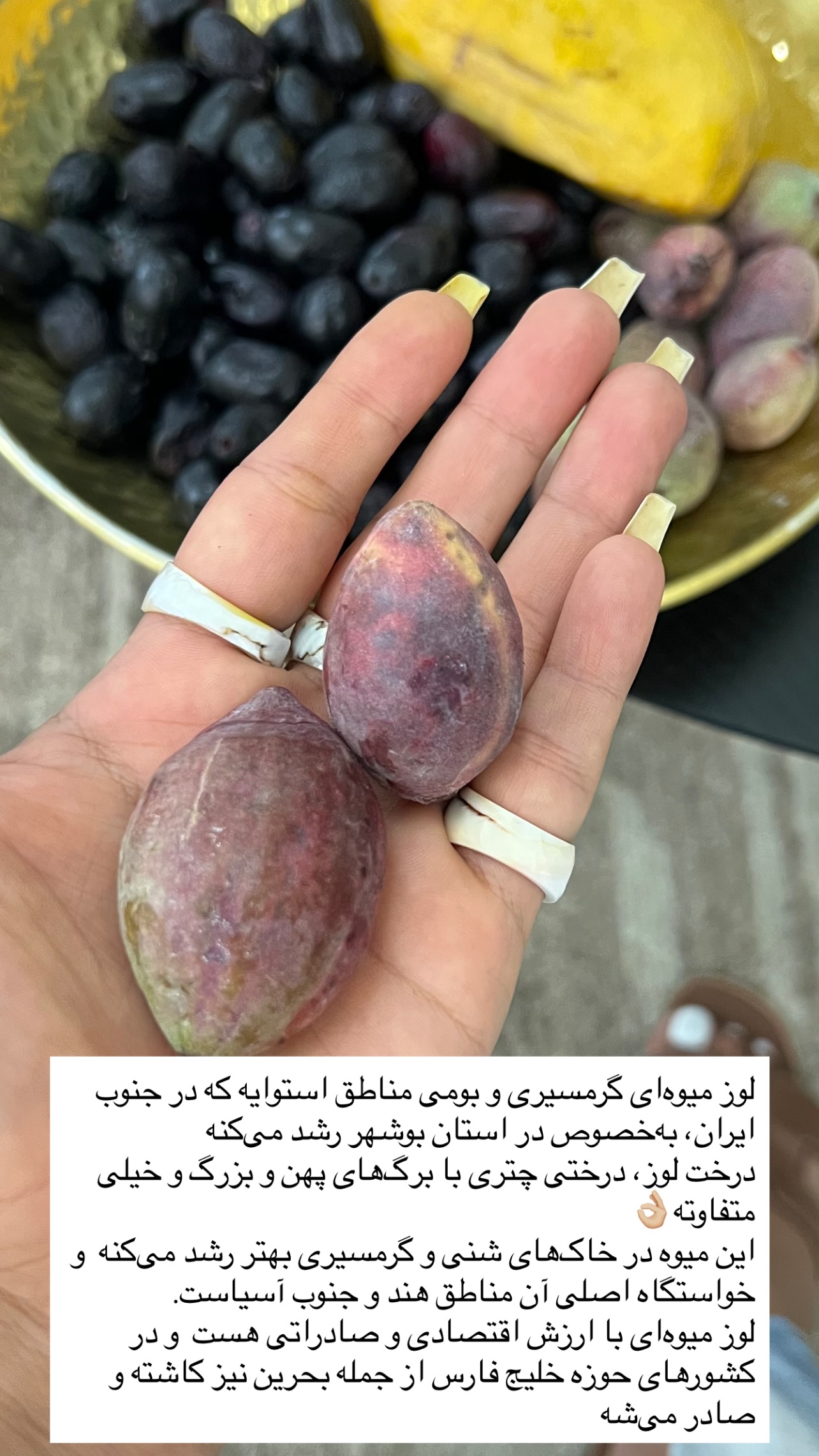  جدید ترین استوری اینستاگرام مرجان ماهینی