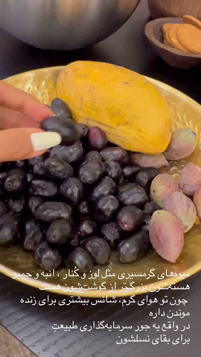  جدید ترین استوری اینستاگرام مرجان ماهینی