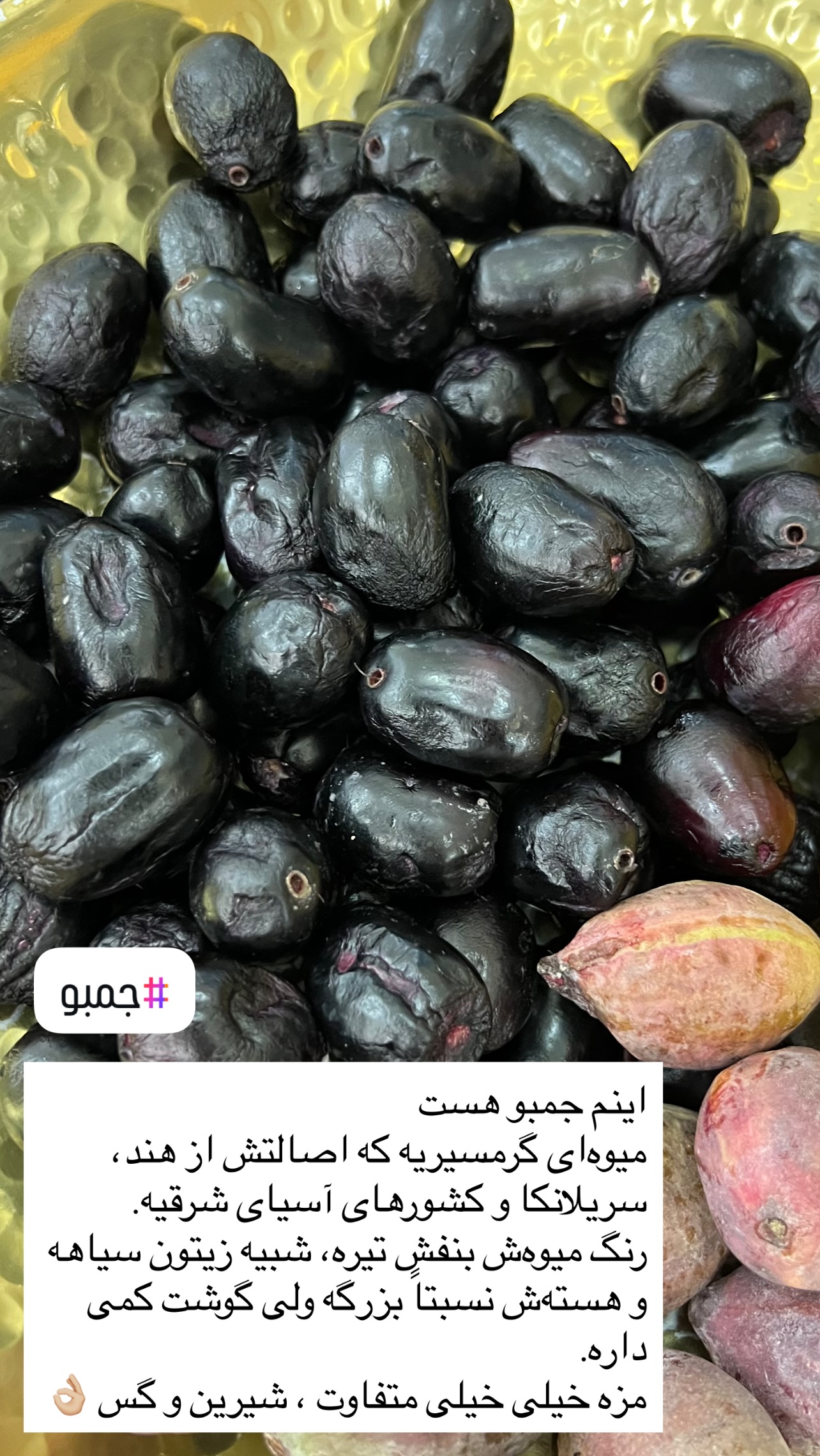 جدید ترین استوری اینستاگرام مرجان ماهینی