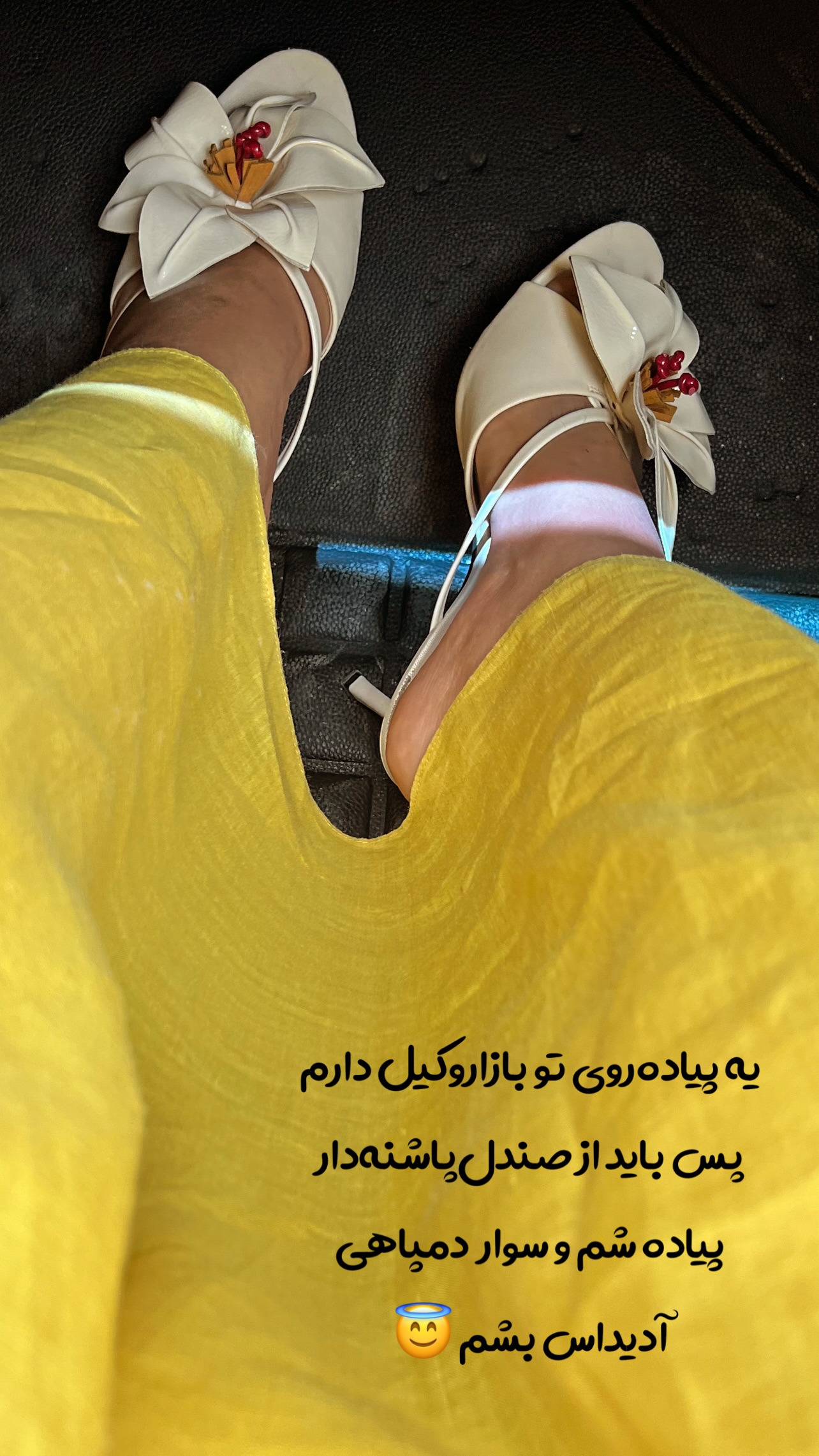  جدید ترین استوری اینستاگرام مرجان ماهینی