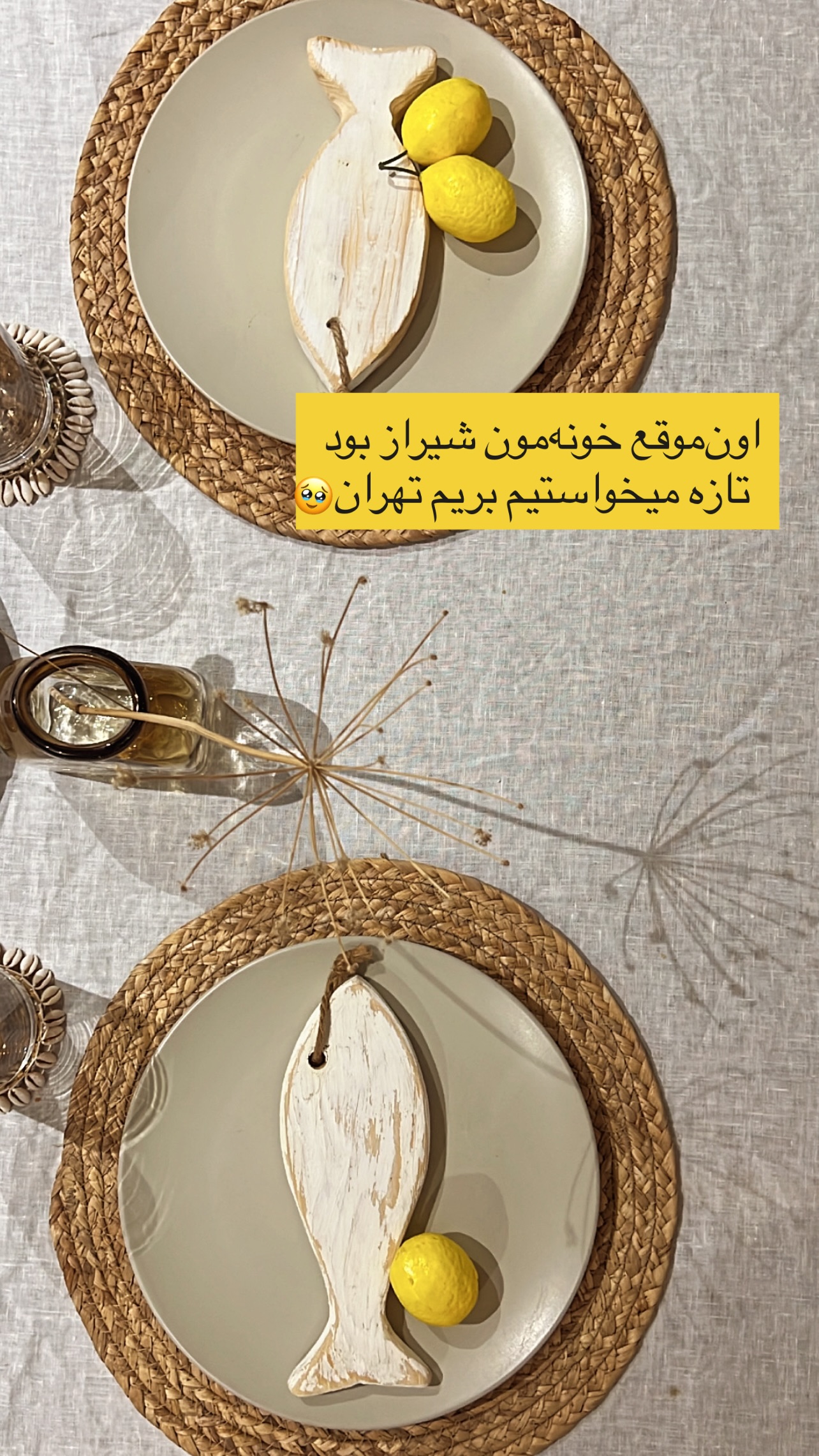  جدید ترین استوری اینستاگرام مرجان ماهینی
