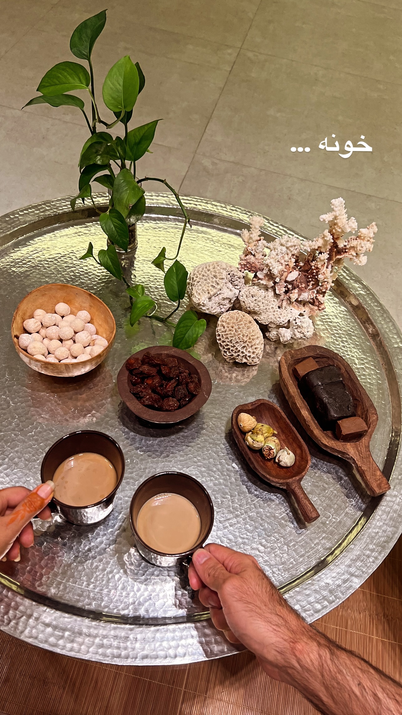  جدید ترین استوری اینستاگرام مرجان ماهینی