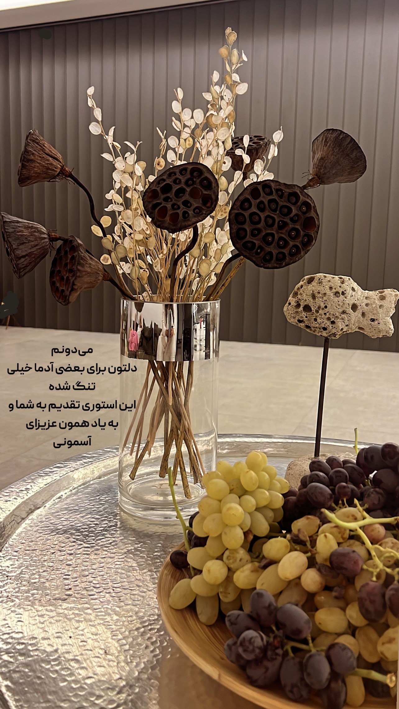  جدید ترین استوری اینستاگرام مرجان ماهینی