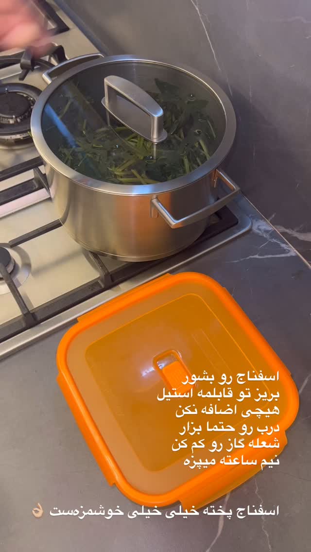  جدید ترین استوری اینستاگرام مرجان ماهینی