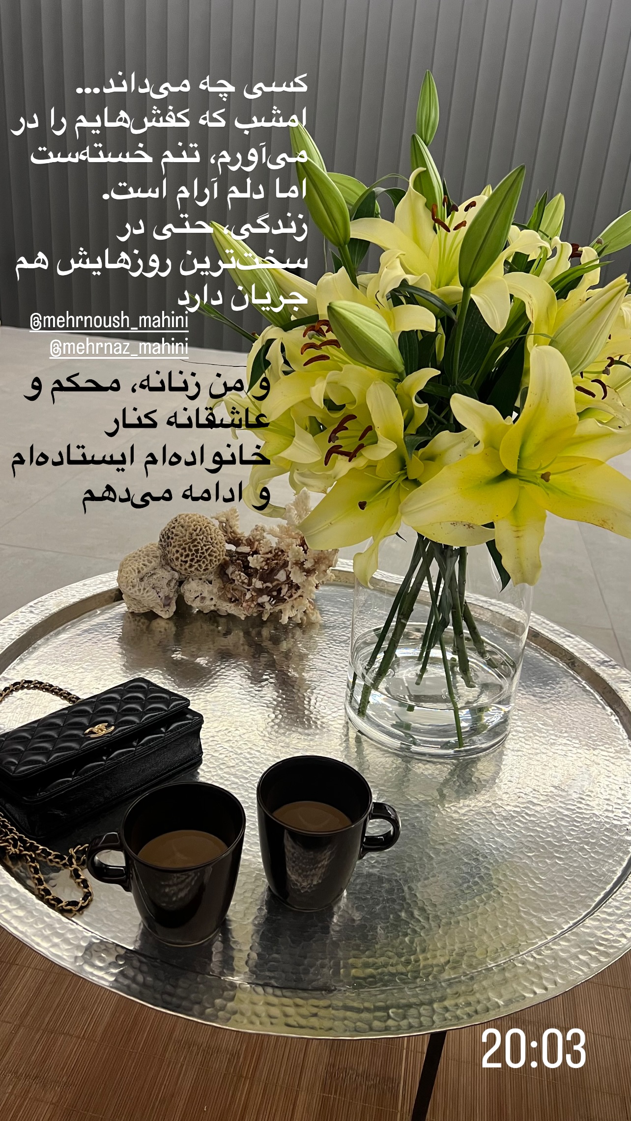  جدید ترین استوری اینستاگرام مرجان ماهینی