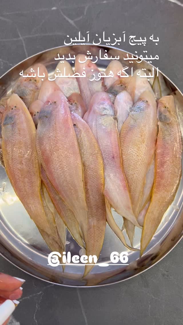  جدید ترین استوری اینستاگرام مرجان ماهینی