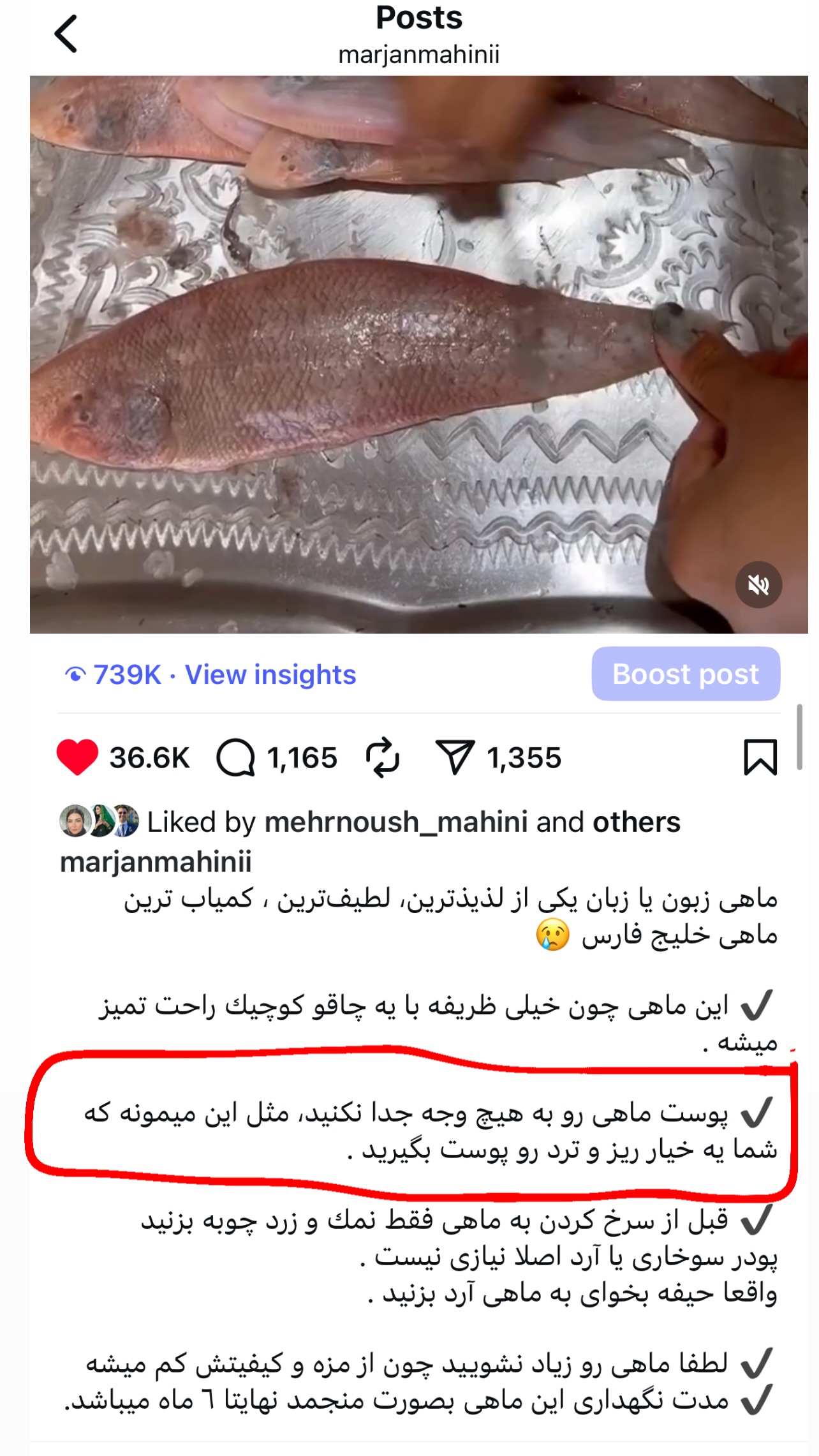  جدید ترین استوری اینستاگرام مرجان ماهینی