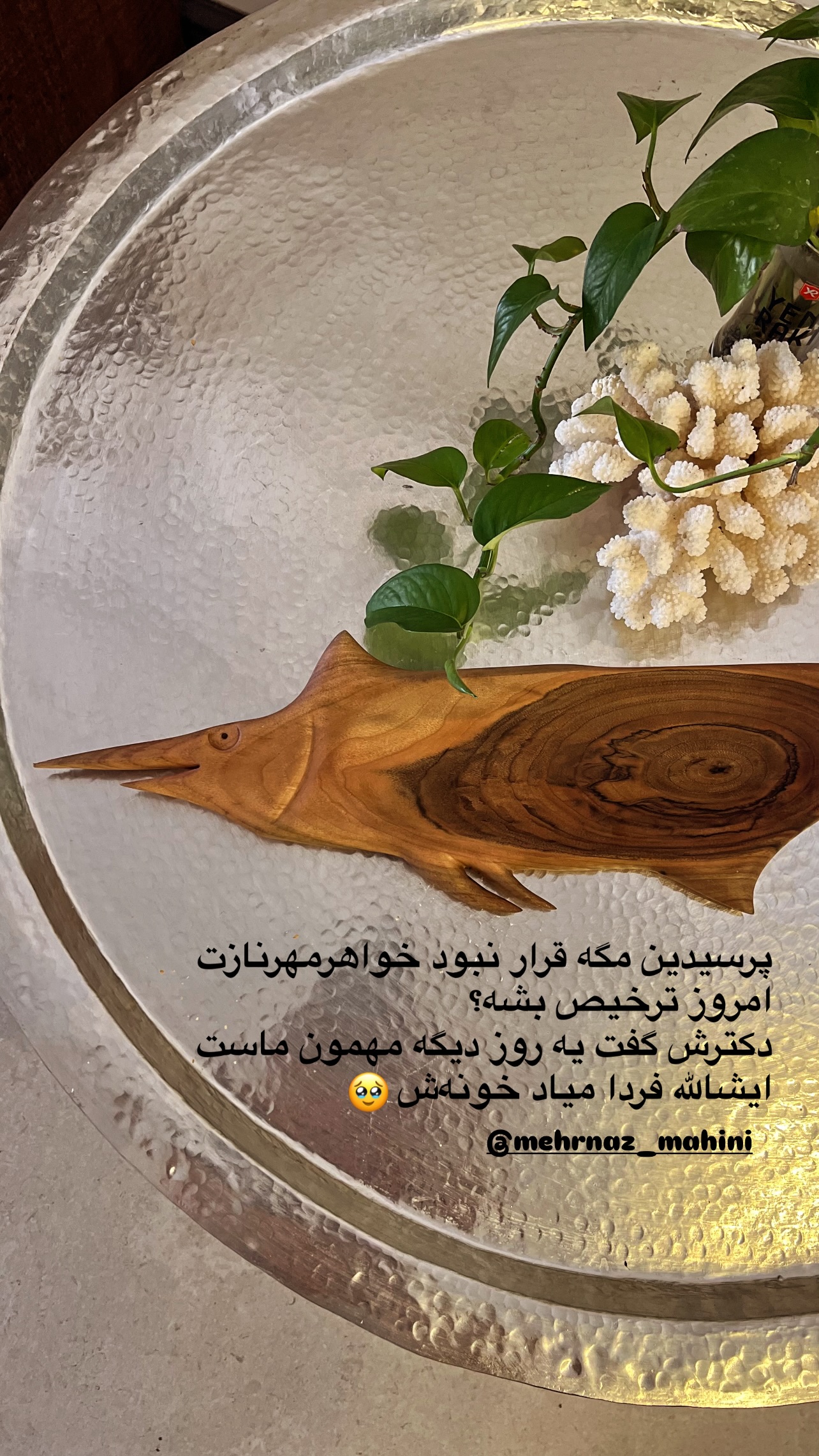  جدید ترین استوری اینستاگرام مرجان ماهینی