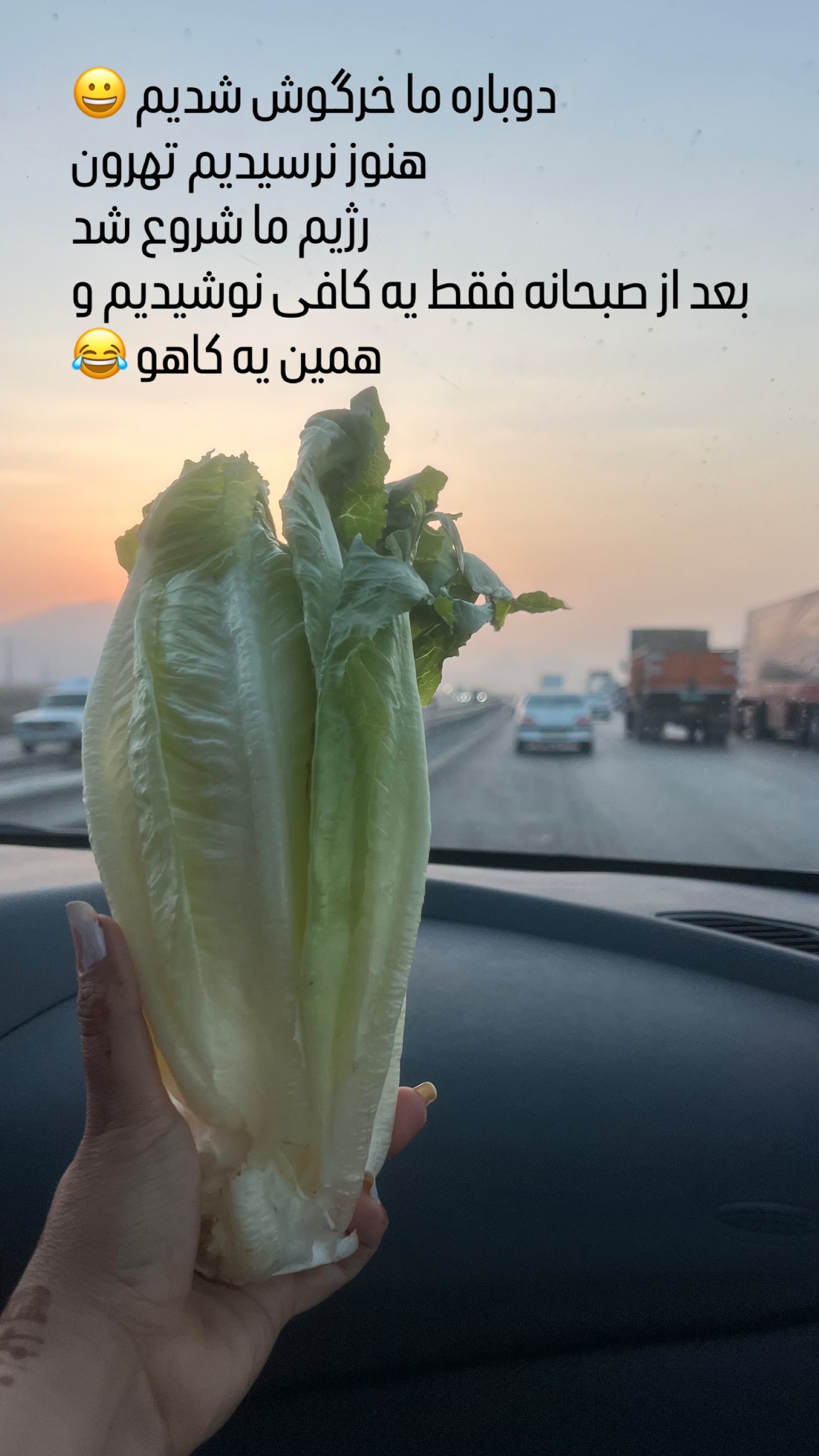  جدید ترین استوری اینستاگرام مرجان ماهینی