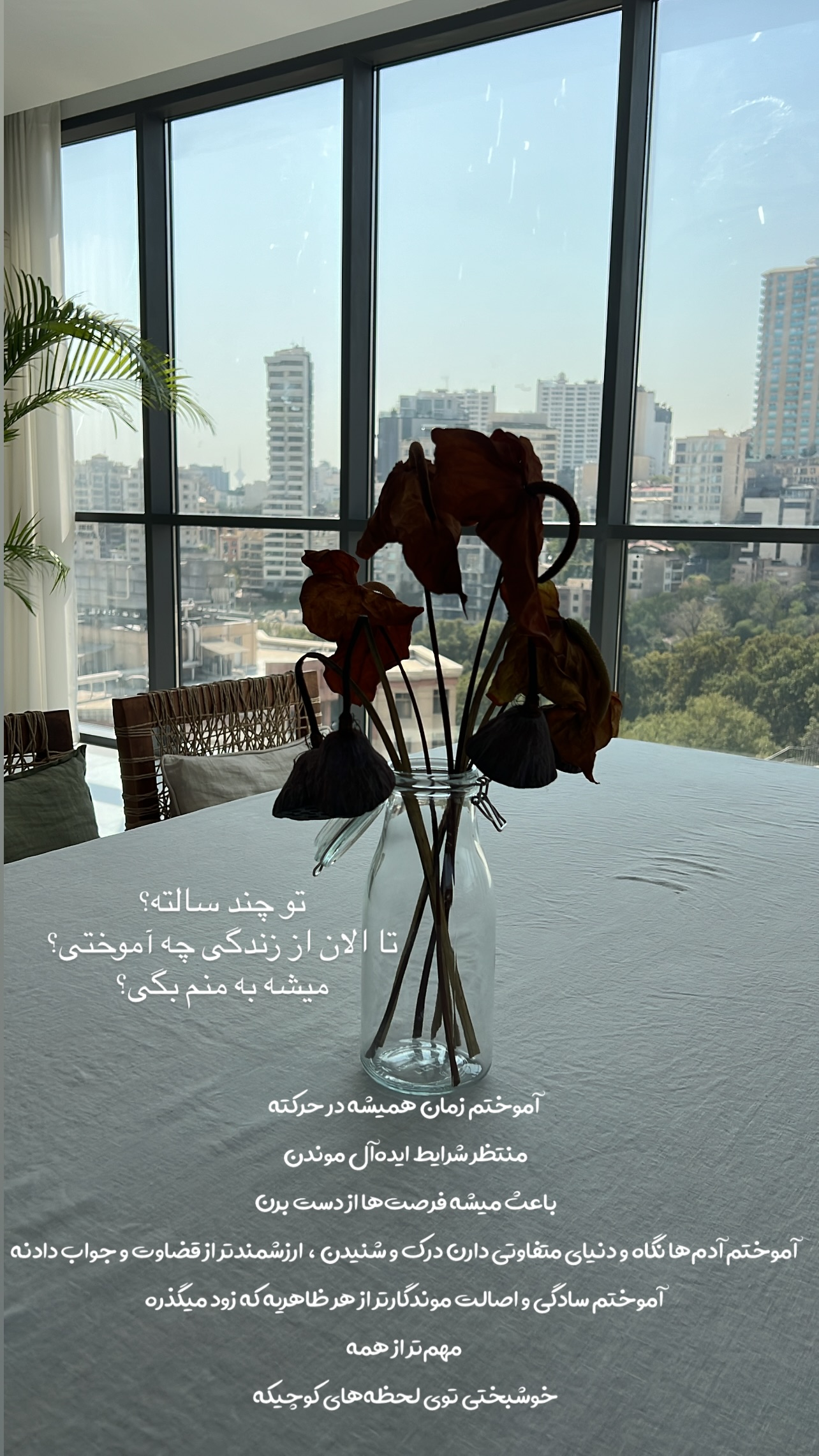  جدید ترین استوری اینستاگرام مرجان ماهینی