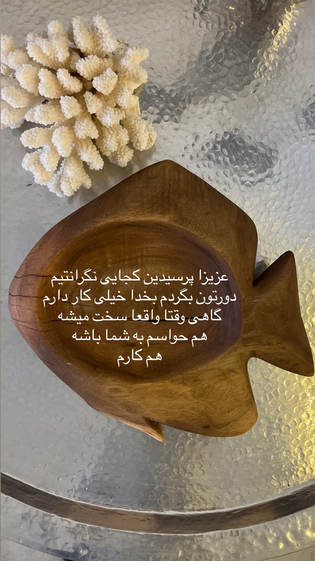  جدید ترین استوری اینستاگرام مرجان ماهینی