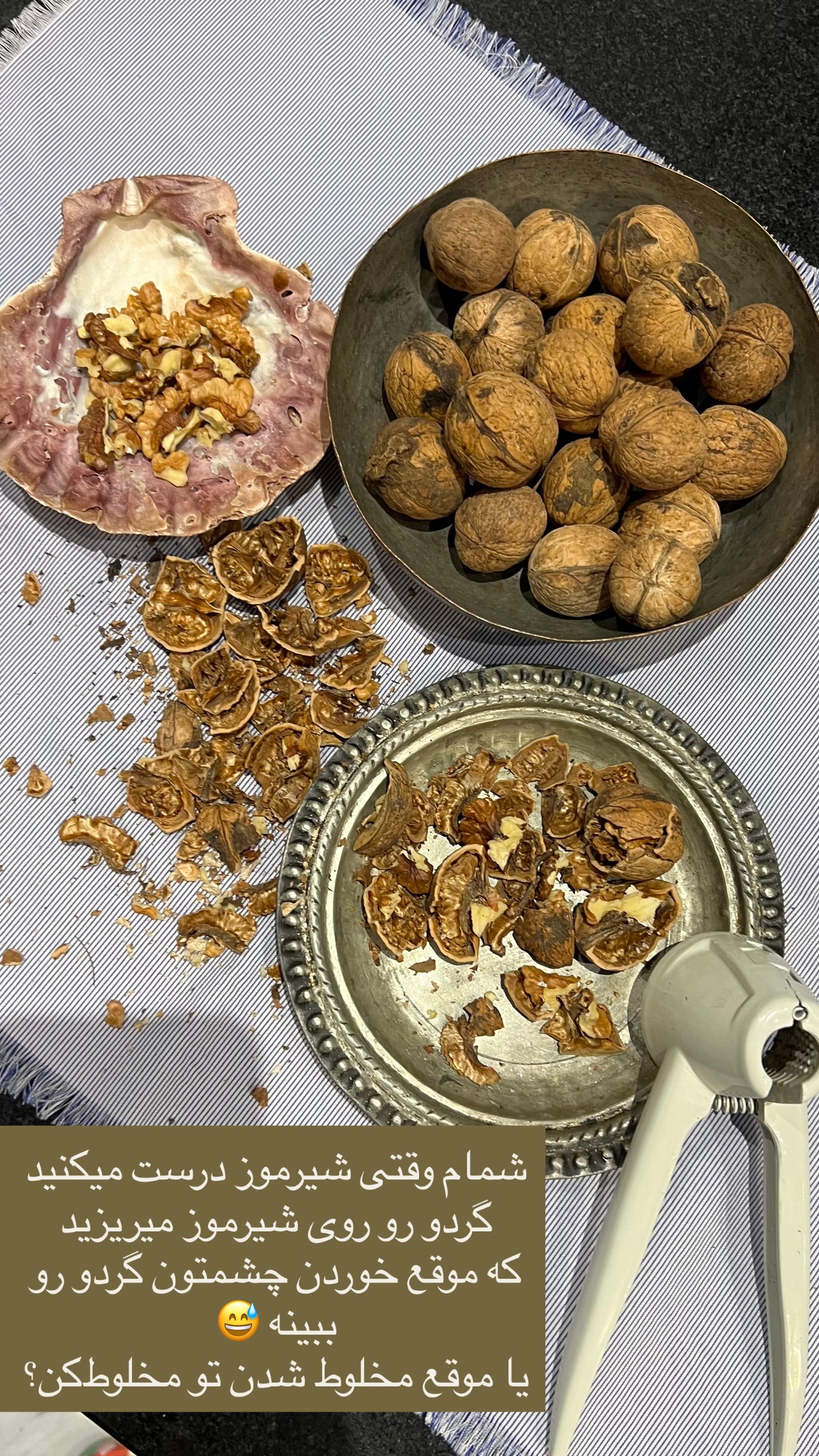  جدید ترین استوری اینستاگرام مرجان ماهینی