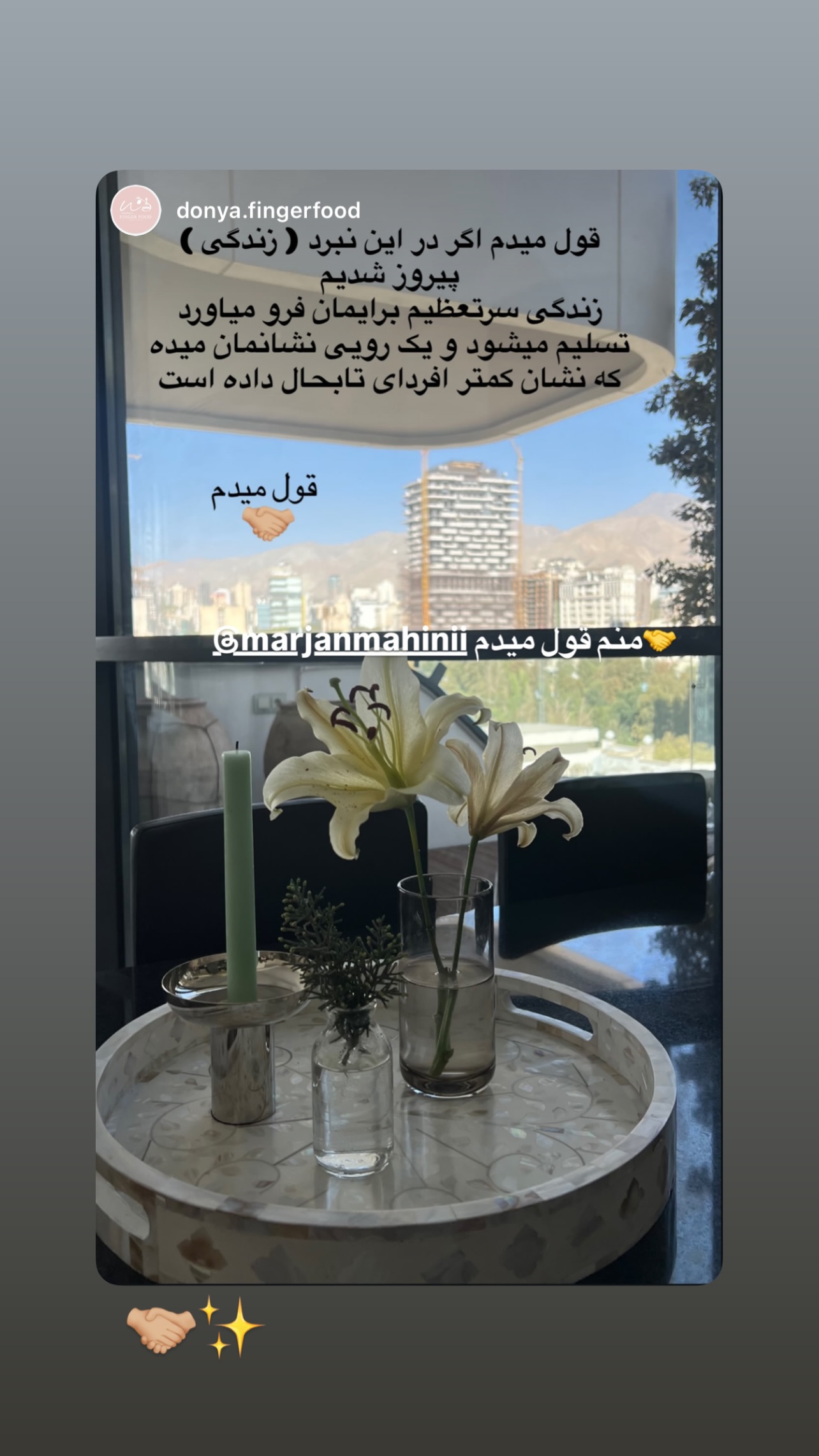  جدید ترین استوری اینستاگرام مرجان ماهینی
