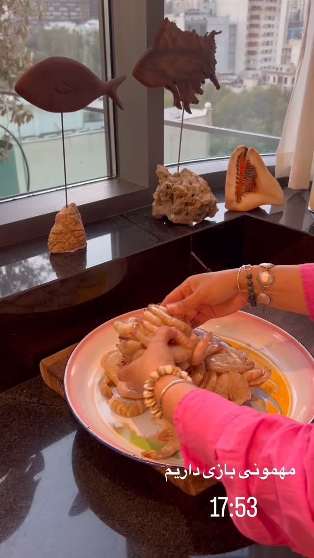  جدید ترین استوری اینستاگرام مرجان ماهینی