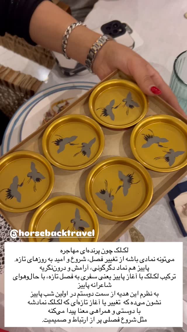  جدید ترین استوری اینستاگرام مرجان ماهینی