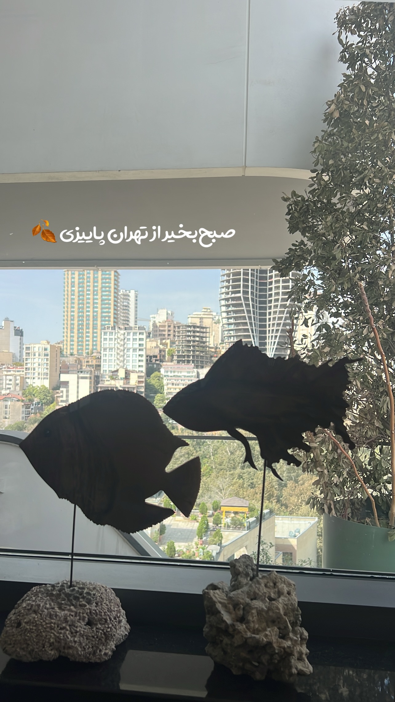  جدید ترین استوری اینستاگرام مرجان ماهینی