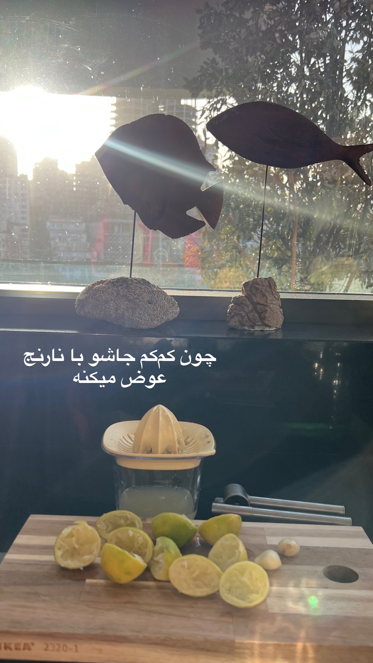  جدید ترین استوری اینستاگرام مرجان ماهینی