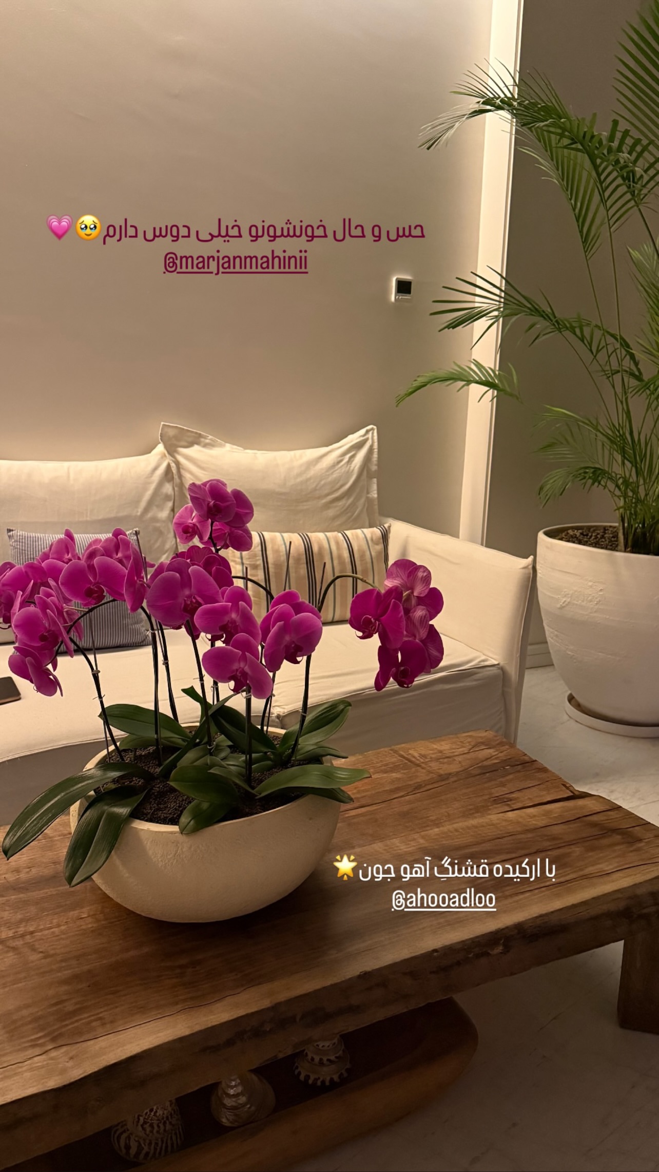  جدید ترین استوری اینستاگرام مرجان ماهینی