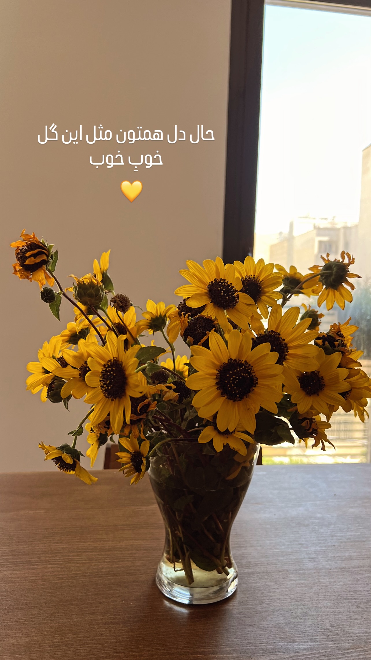  جدید ترین استوری اینستاگرام مرجان ماهینی