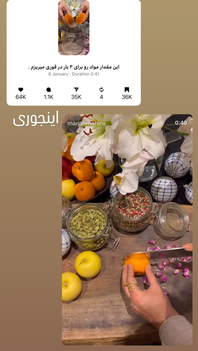  جدید ترین استوری اینستاگرام مرجان ماهینی