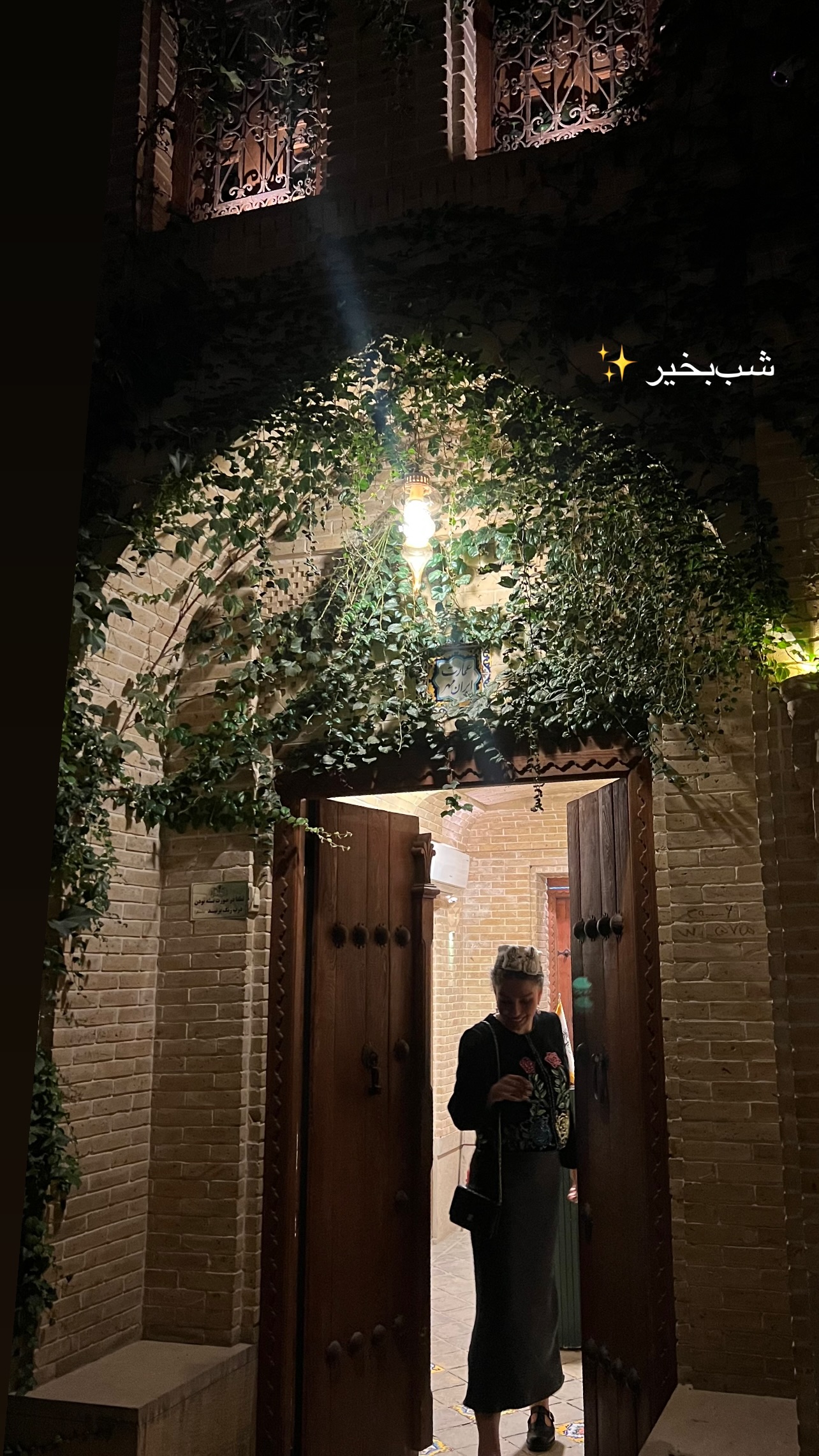  جدید ترین استوری اینستاگرام مرجان ماهینی