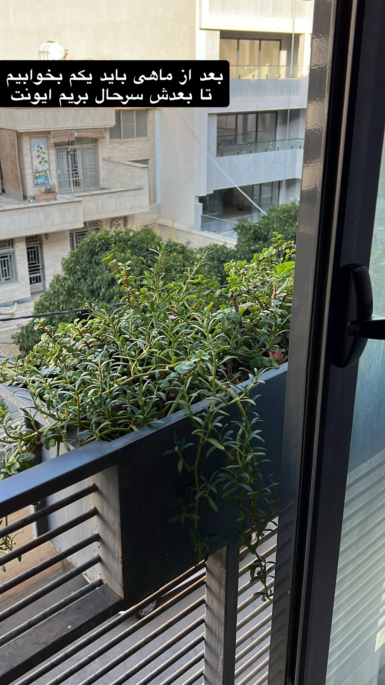  جدید ترین استوری اینستاگرام مرجان ماهینی